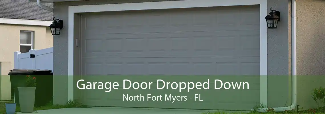 Garage Door Dropped Down North Fort Myers - FL